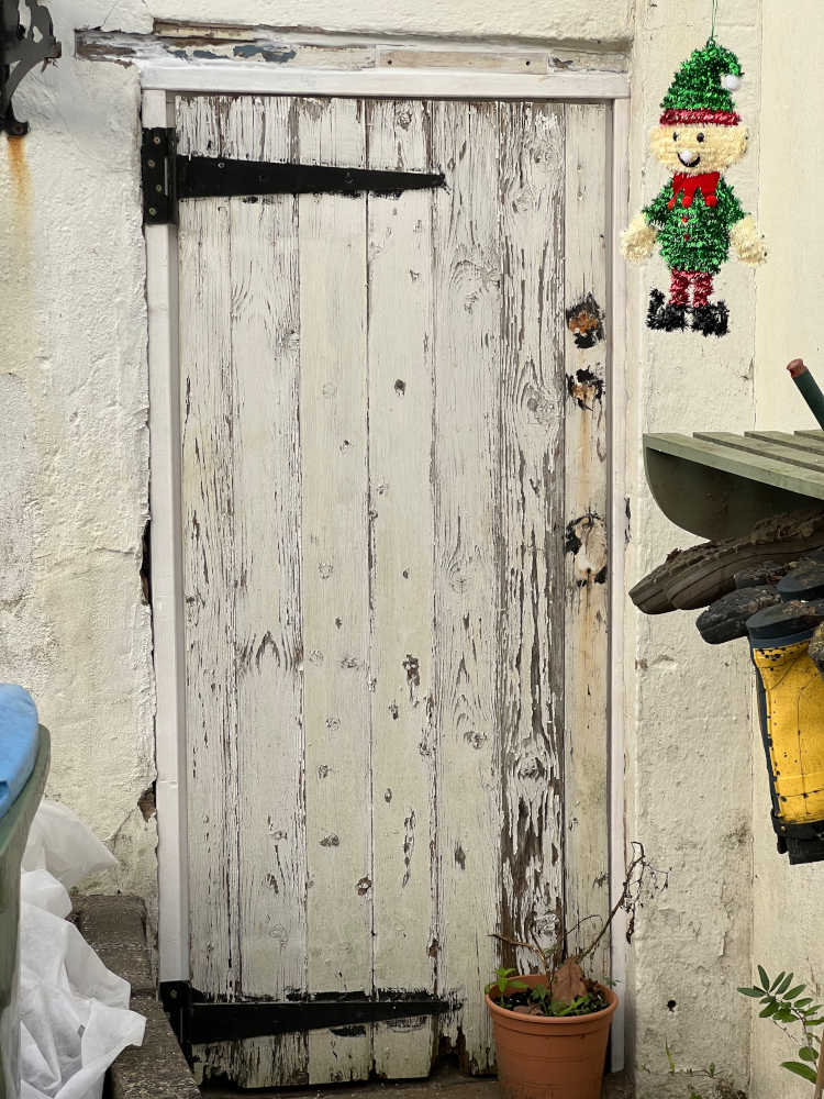 Door rotting, paint peeling