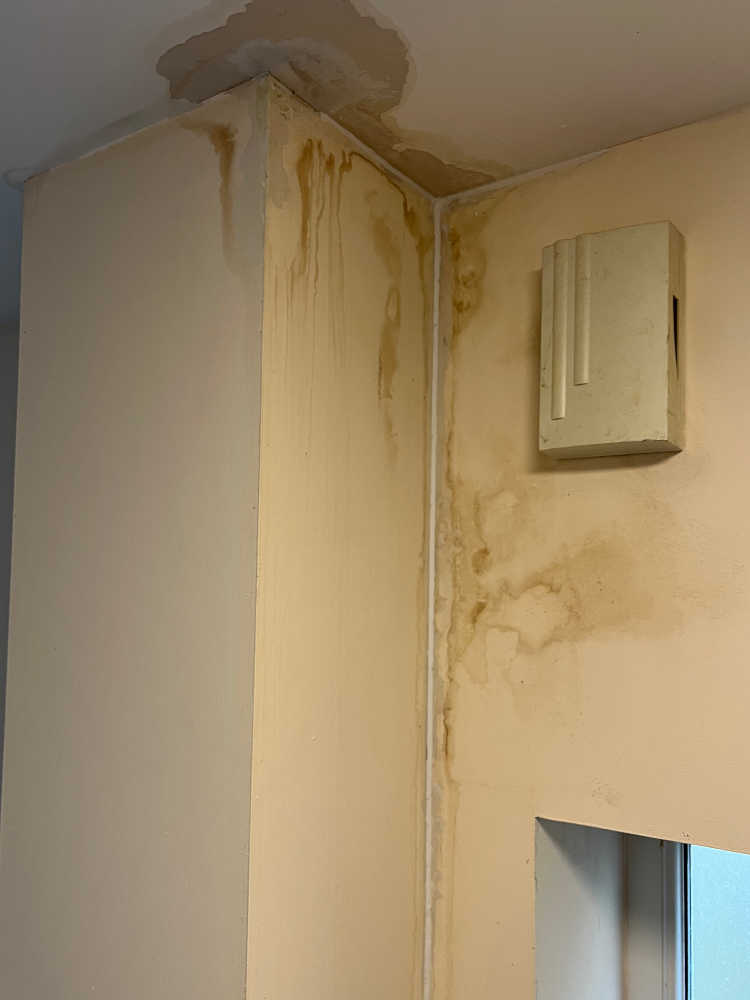 Door rotting, paint peeling